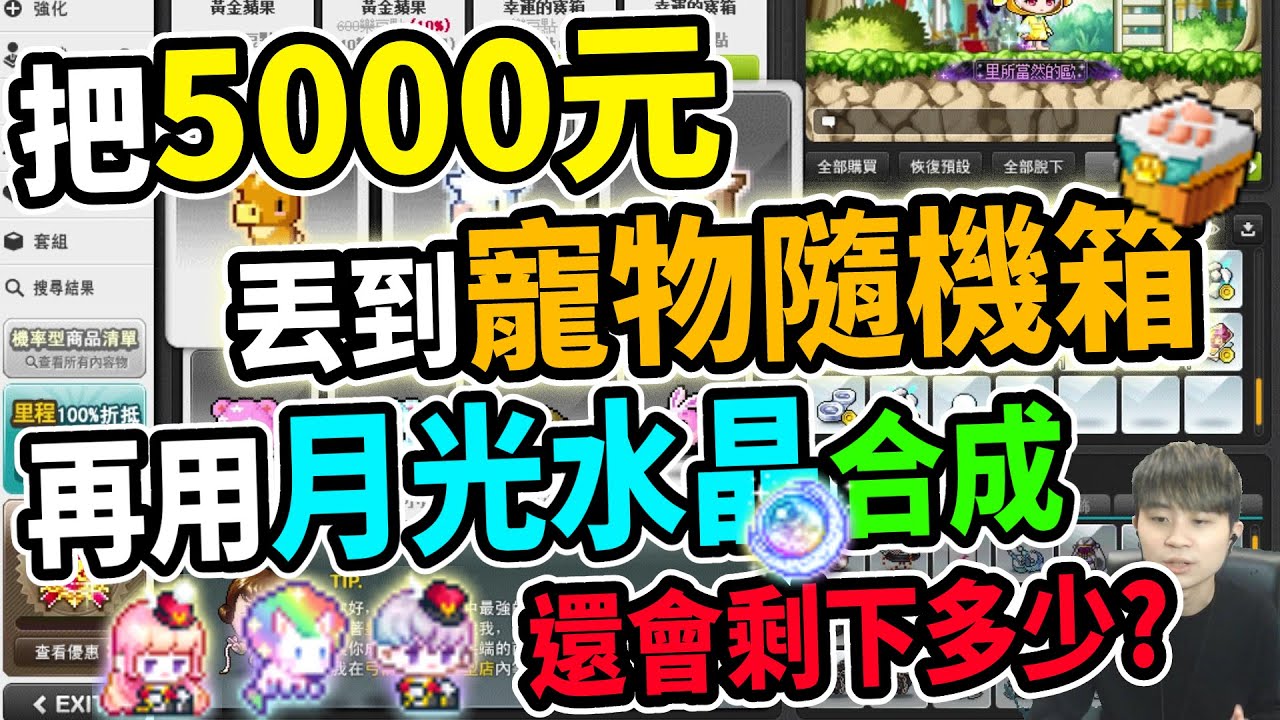 【新楓之谷】實測將５０００點丟進『寵物隨機箱』💸再把寵物全都拿去用『月光水晶』合成💸最後還會剩多少錢？！ ｜實測系列「寵物隨機箱」《Leo里歐》