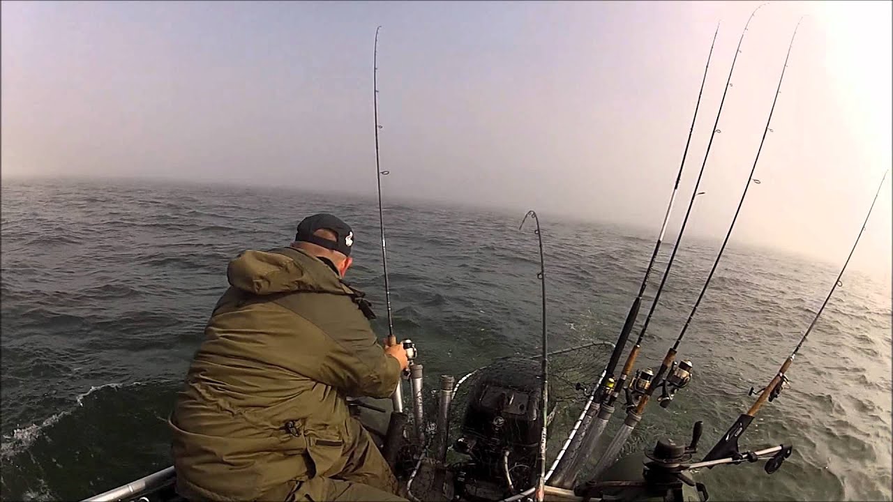 Salmon fishing in Baltic Sea