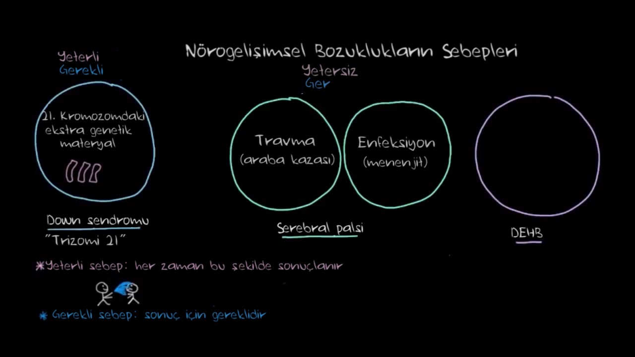 Nörogelişimsel Bozukluklar: Yeterli ve Gerekli Sebepler (Sağlık ve Tıp) (Psikoloji)