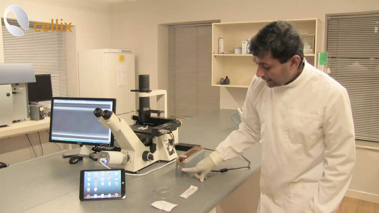 Cell Rolling and Adhesion Assays with ExiGo Pump
