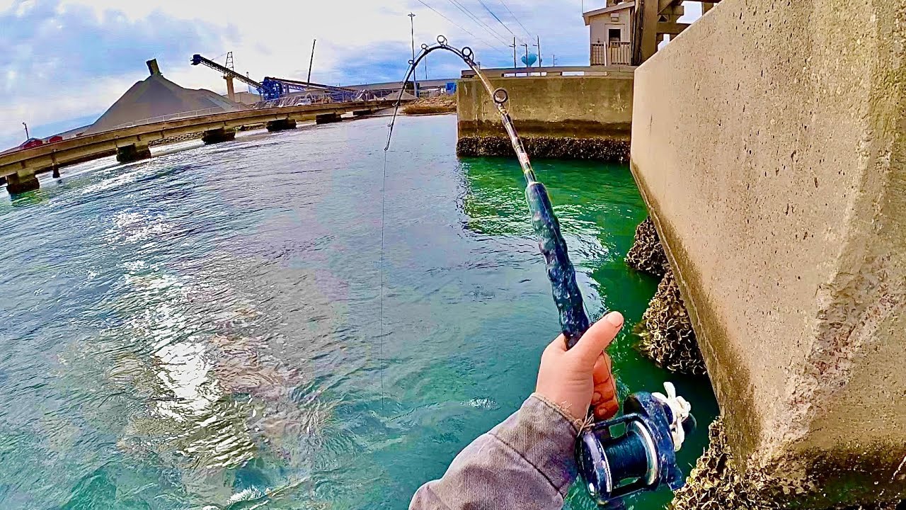 BRIDGE BROUHAHA - Sheepshead and Black Drum Fishing