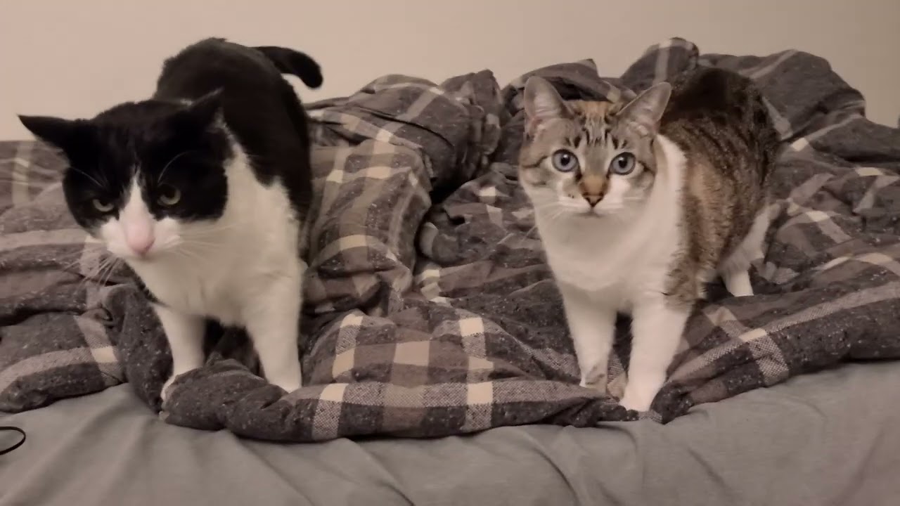 Let us make up the bed for you