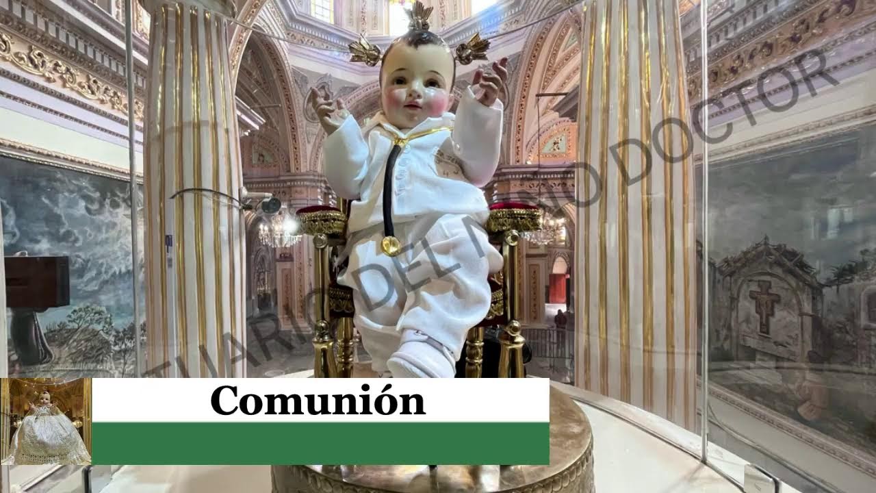 🔴Santa Misa de hoy Martes 3 de Febrero del 2026 8:00 a.m Parroquia del Santo Niño Doctor Tepeaca.