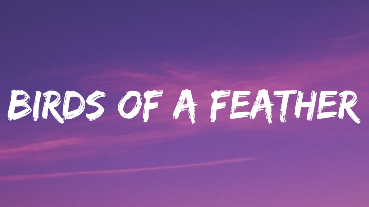 Billie Eilish - BIRDS OF A FEATHER (Lyrics)