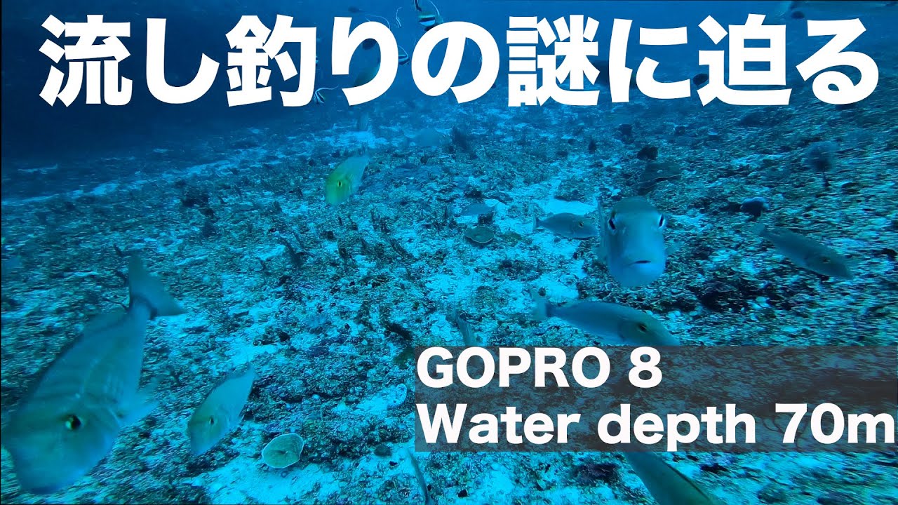 沖縄の釣り　水中動画で解説　GOPRO8 water depth70m