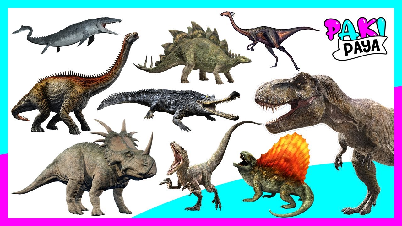 &iexcl;ANIMALES PREHIST&Oacute;RICOS! PARTE 1 - Prehistoric Sea Animals - dinosaurios - jurassic world