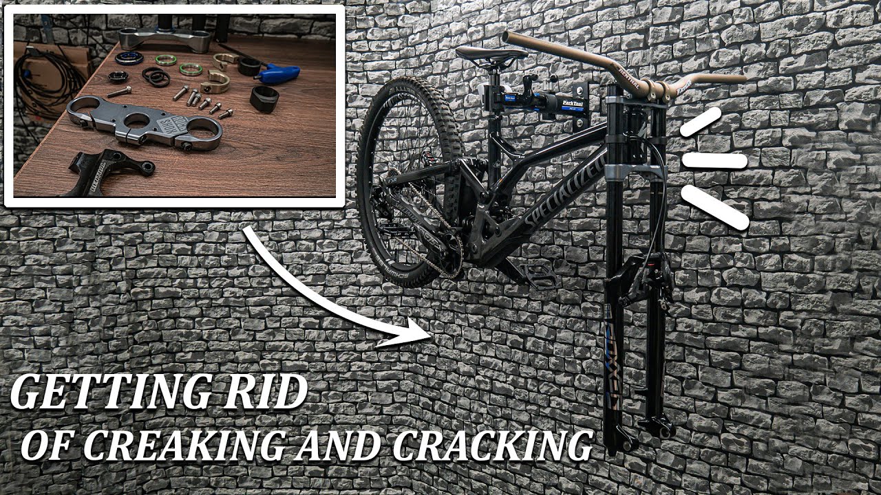 Specialized Demo 2021 | Dreambuild Service