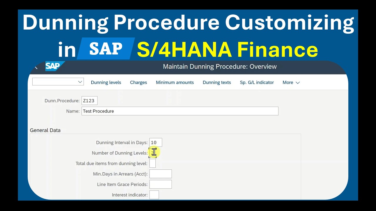 Настройка процедуры напоминаний в SAP S/4HANA | Пошаговое руководство по конфигурации