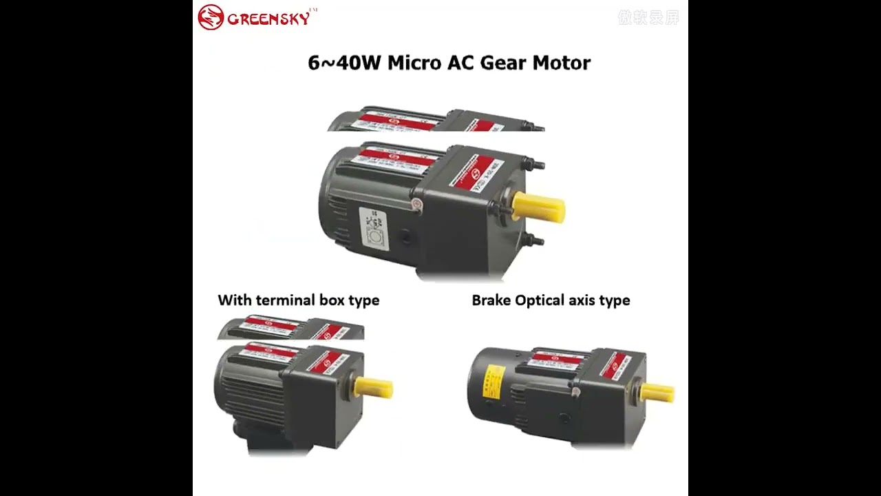 110v 220v AC Induction Low Speed High Torque Geared Motor Reductor