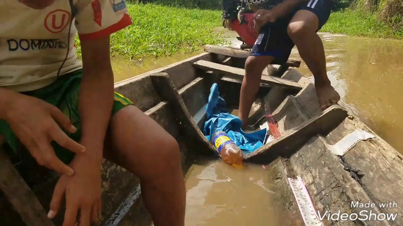 Amazon River Pebas Loreto Peru Amazona
