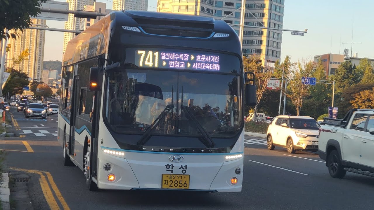 (신차) 울산 | 일반 741번 목화예식장앞 - 태화강역(1번 정류소) 구간 주행영상