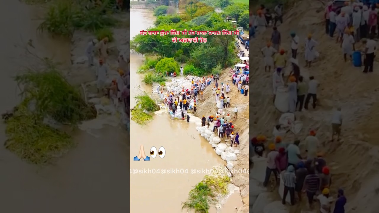 Punjab flood #news #sardar #trending #punjabi #flood #viral #reels #punjabnews #floods #water #lover