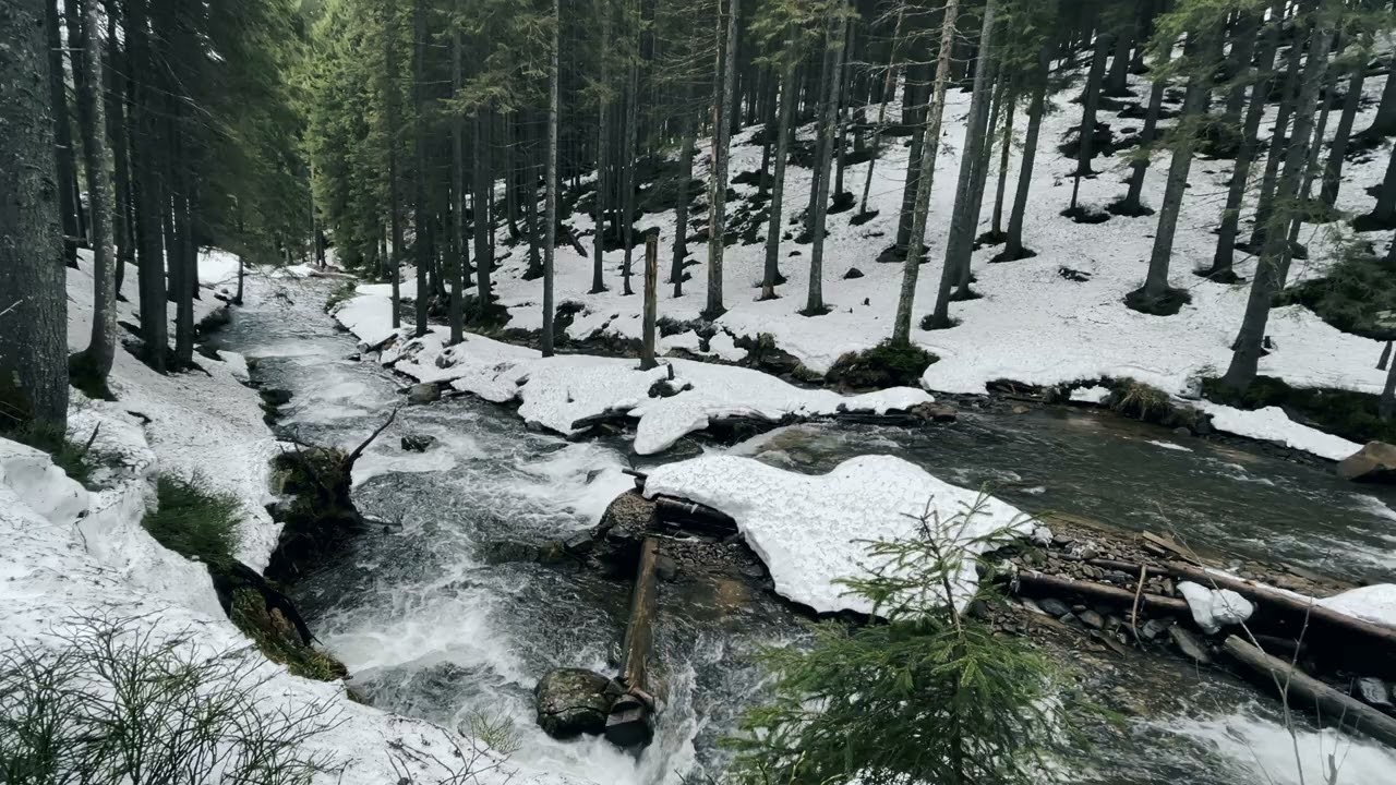 Relaxing Acoustic Music - Winter Forest River Ambience - 10 Hours - 4K