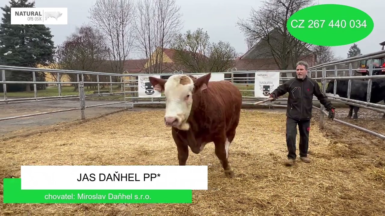 OPB Osik 2.3.2026 Jas Daňhel PP*