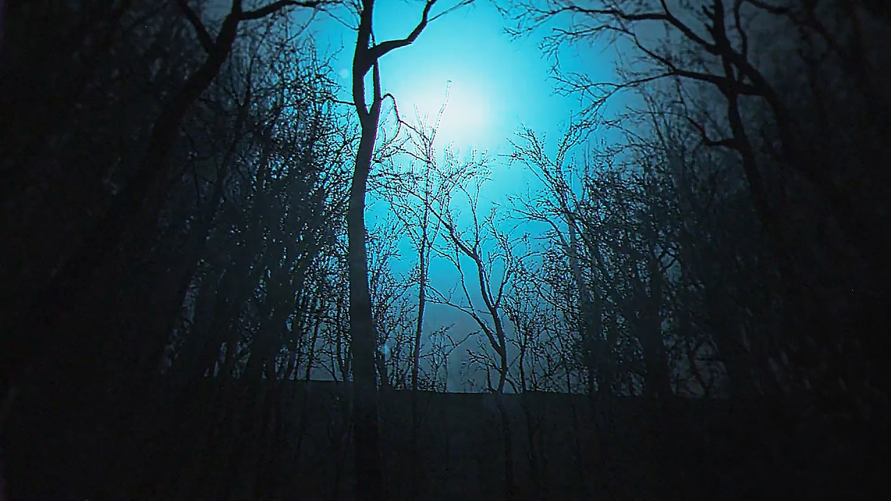 수상한 빛을 무심코 따라갔다가 생긴 일.. [ The Strange Lights ] (공포게임)