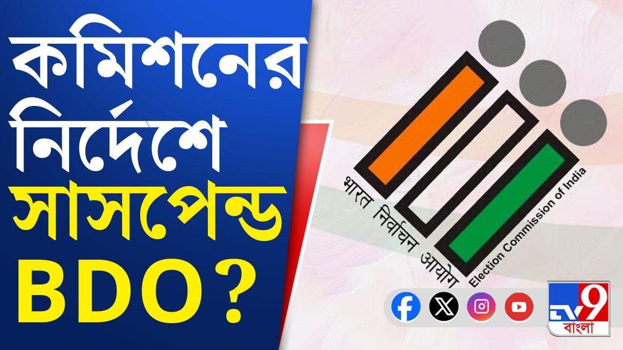 Basirhat, Election Commission News, SIR Updates: বিপাকে বসিরহাট ২-এর AERO, সাসপেন্ড হলেন BDO?