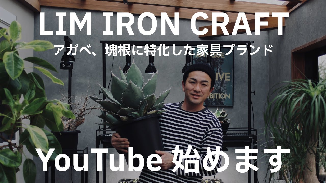 LIM IRON CRAFT遂にYouTube始めました！！アガベ＆塊根好きな方必見！！
