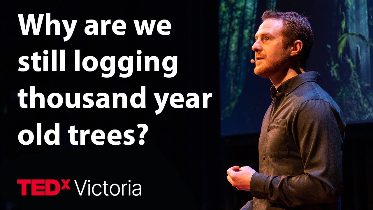 One Last Shot to Protect Old-Growth Forests in British Columbia | TJ Watt | TEDxVictoria