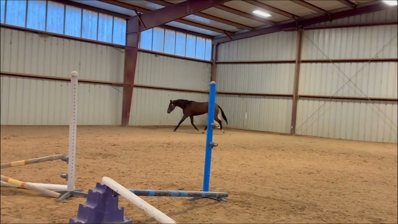 Colin Free Movement