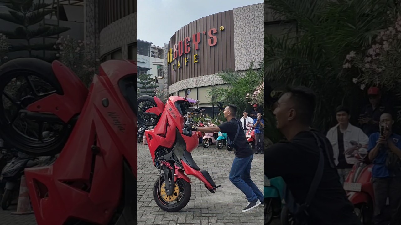 Freestyle ninja 250 karbu #ninja250 #kawasakininja #ninja250karbu #wheelie #freestylemedan