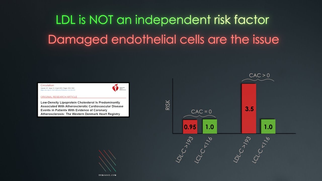 Heart Disease Starts Here (part 2): LDL vs Endothelial Cell Dysfunction