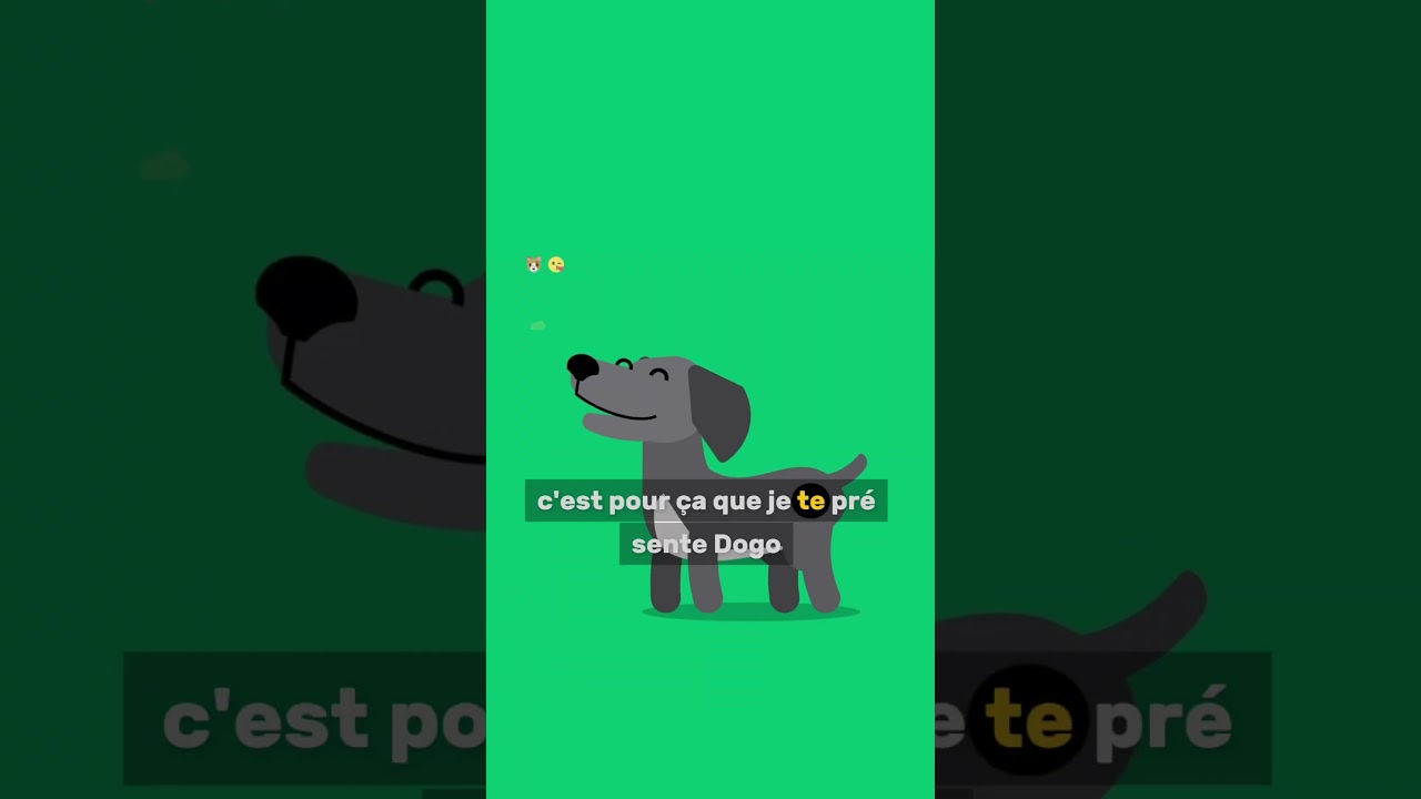Comment &eacute;duquer son chien soi-m&ecirc;me ?