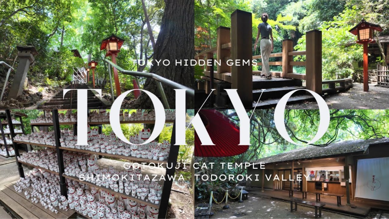 Tokyo Hidden Gems Shimokitazawa Walk & Todoroki Valley (2025)