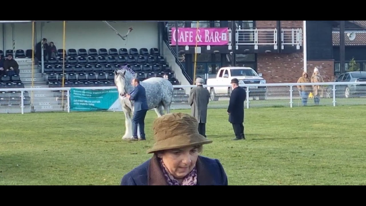 Shire Horse National Show