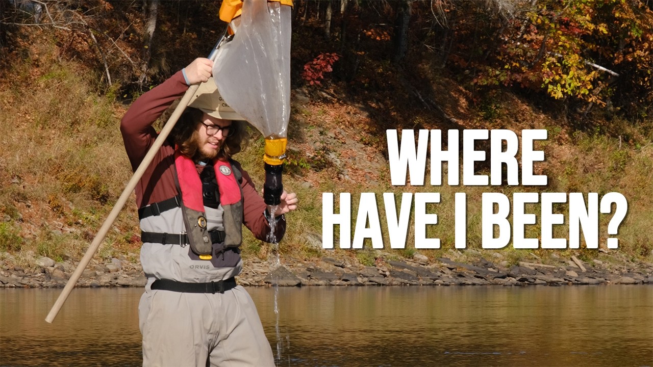 Freshwater food webs: They are taking all my time