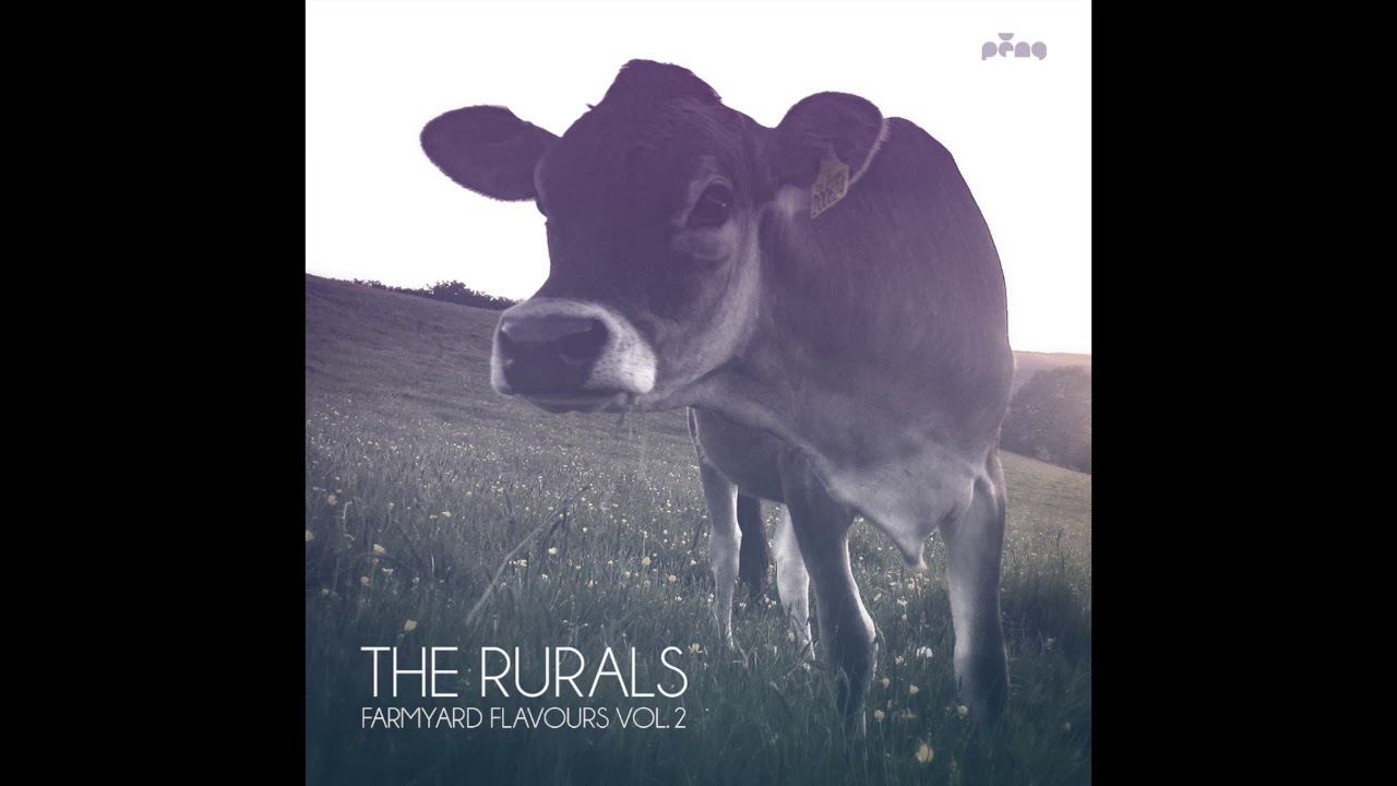Music Is My Life - The Rurals