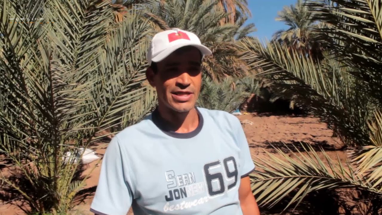 l'oasis  de figuig  واحة فكيك