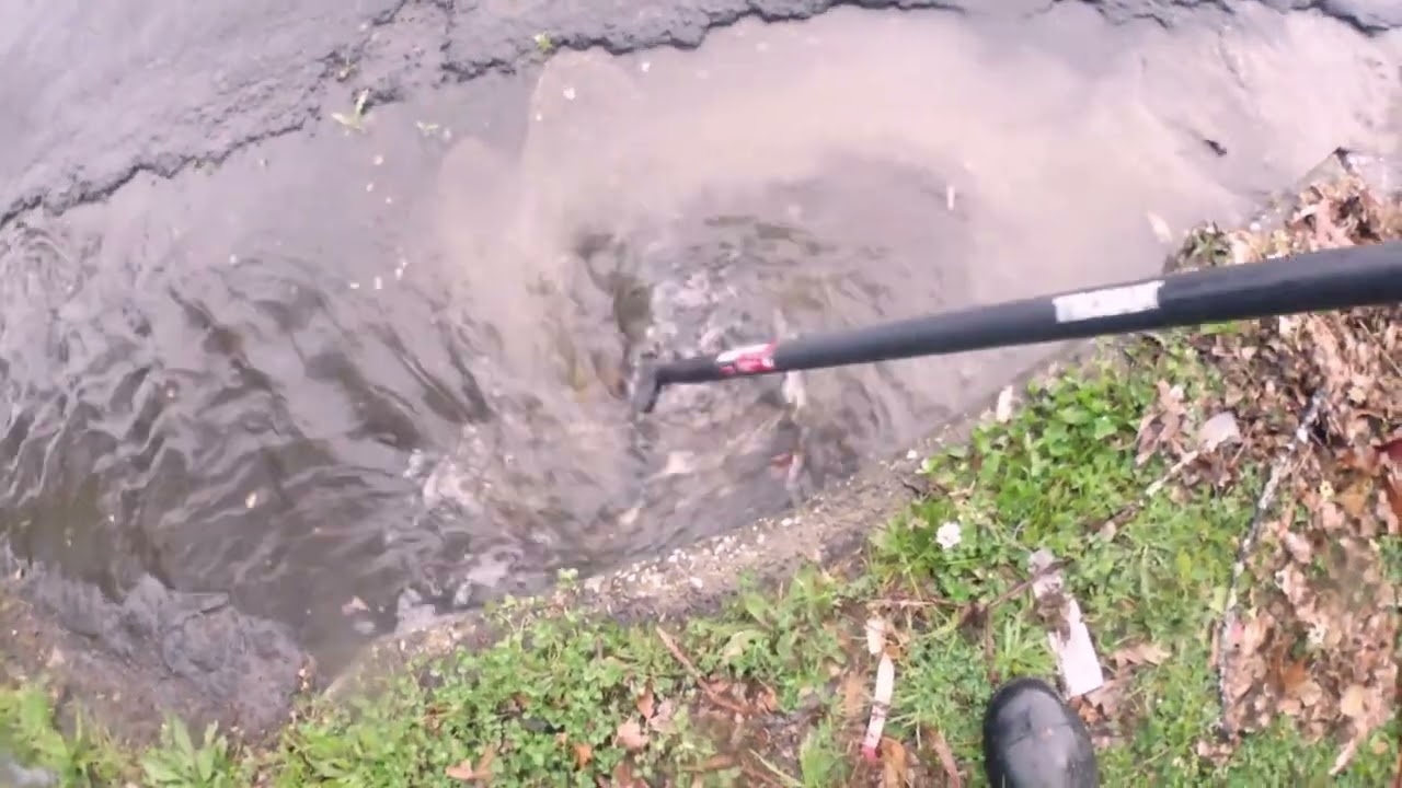 Clearing lots of leaf litter from drains to get the water flowing