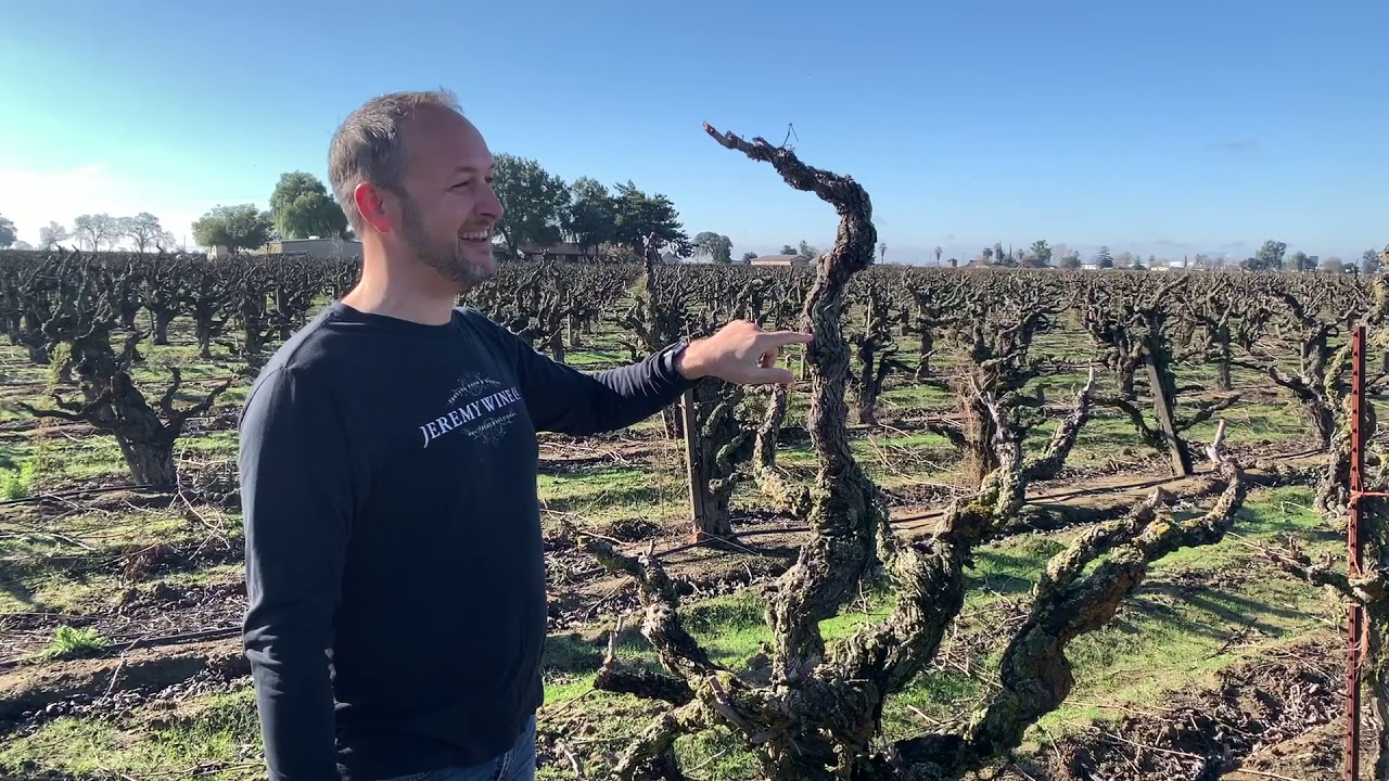 Jeremy Wine Co. '18 Perrin Old Vine Zinfandel