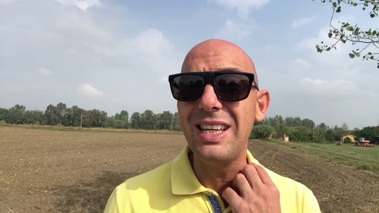 Cover Crops 2019