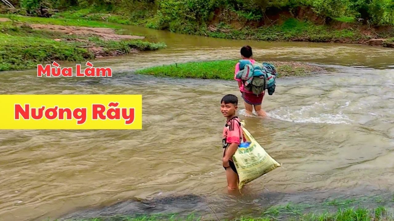 Chuyện Đời Thường Nơi Núi Rừng , Lên Nương Giúp Bố Mẹ || Nậm Khum