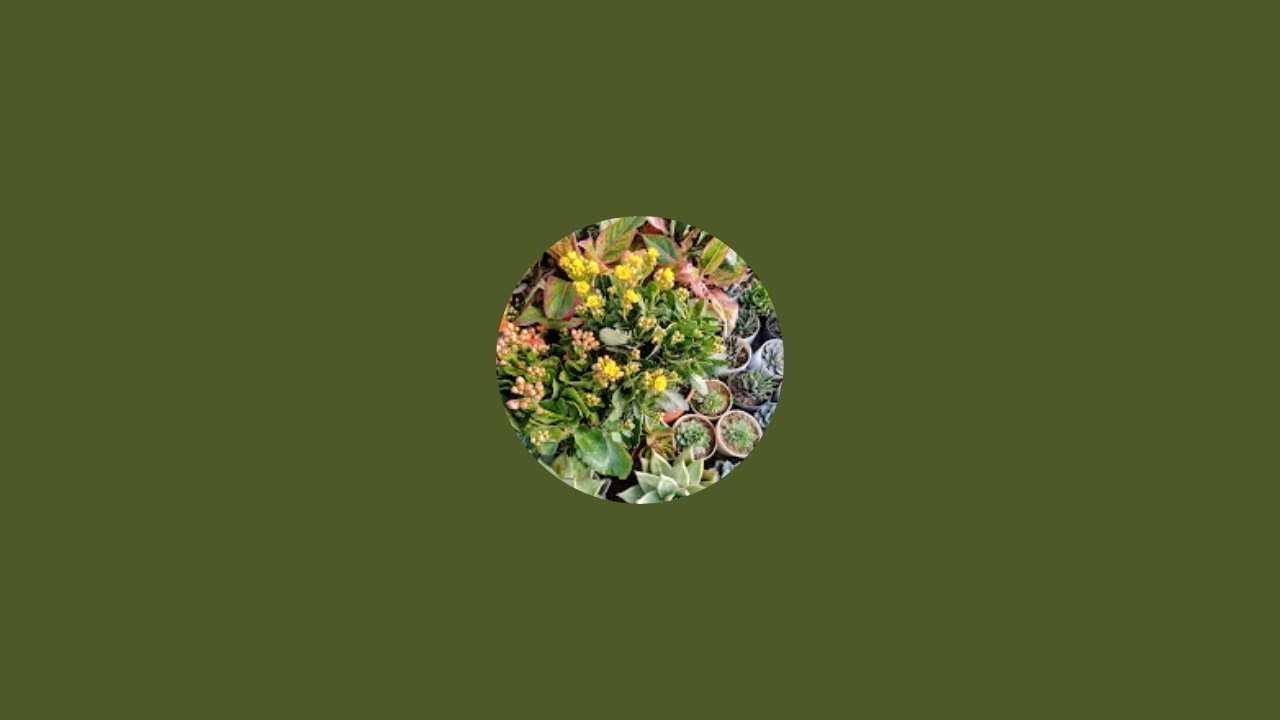 Gardening with Khyati is live #virallive