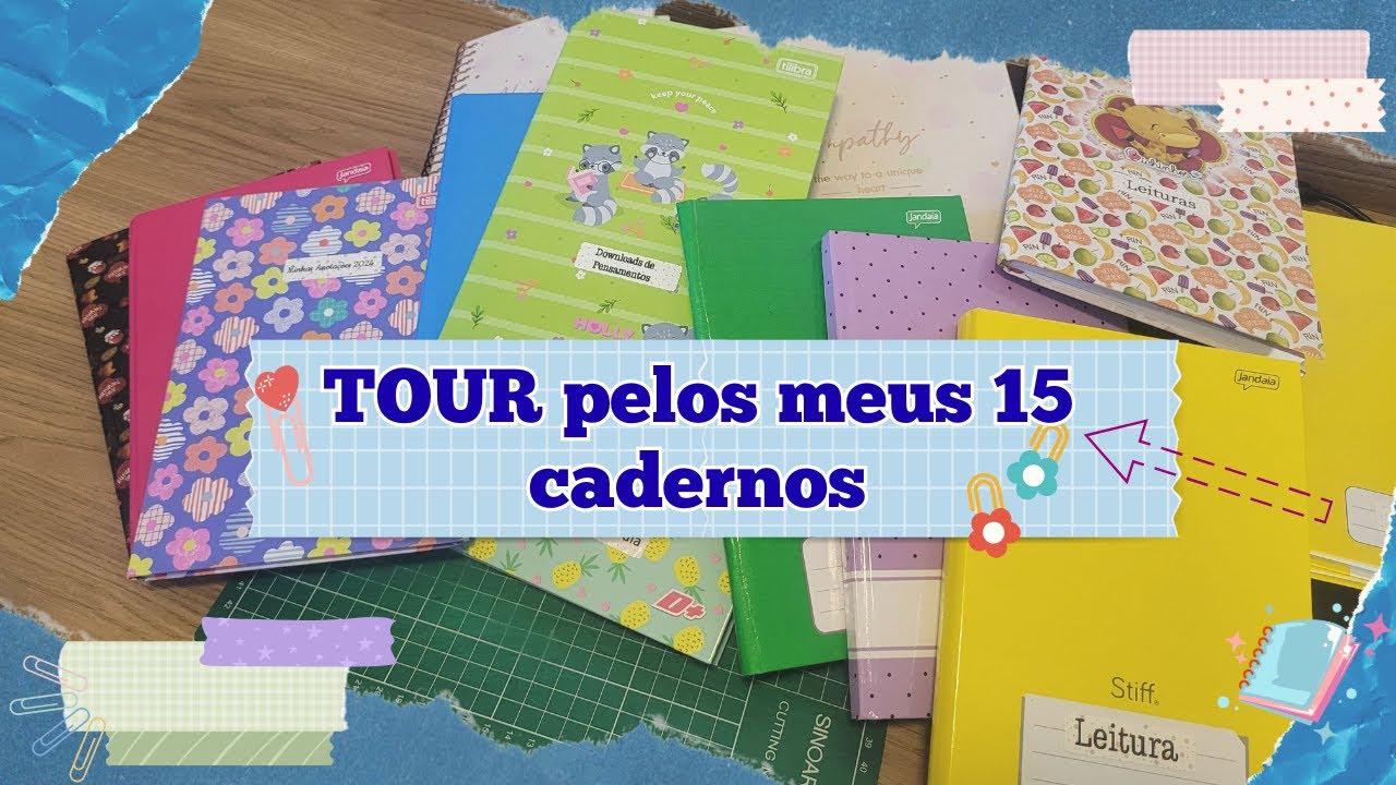 Tour pelos meus 15 cadernos! | Como eu uso esses cadernos?