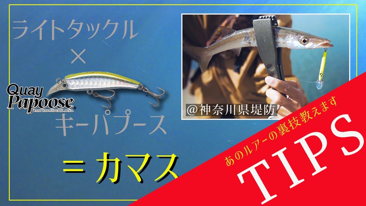 【TIPS】カマス狙いにキーパプースは必須！@神奈川県堤防
