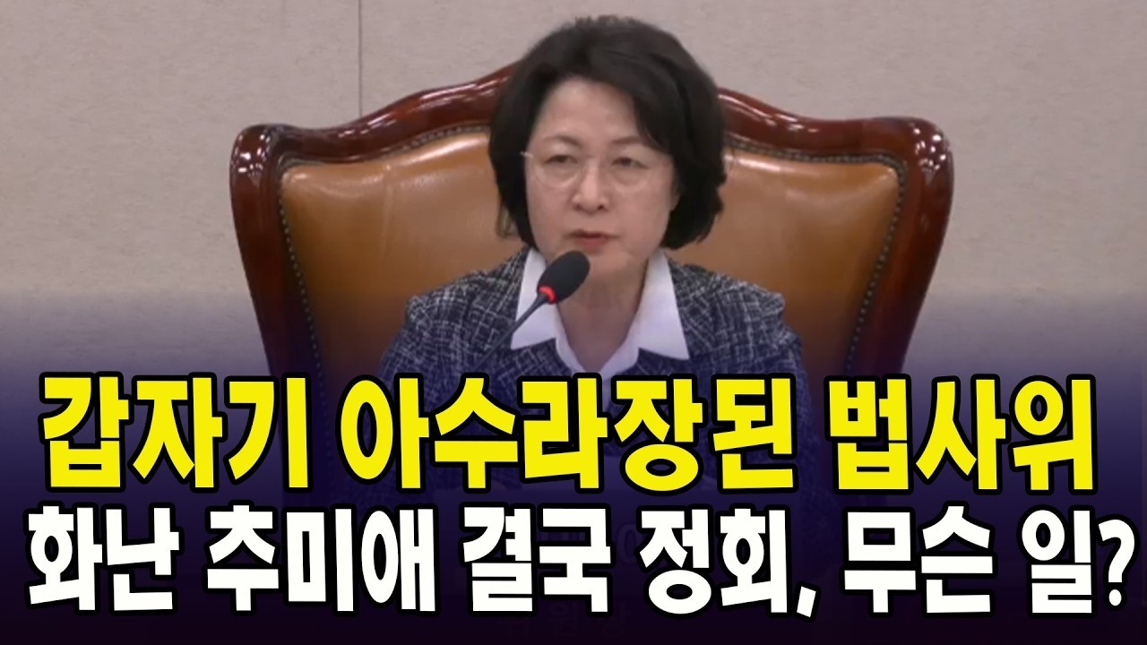 갑자기 아수라장된 법사위.. 화난 추미애 결국 정회, 무슨 일?