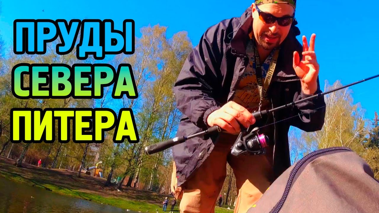 Попутная рыбалка #1. Какая рыба ловится в прудах Питера?