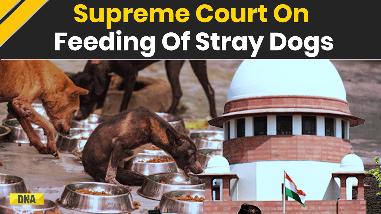 Stray Dog News: Supreme Court To Regulate Feeding Of Stray Dogs In Government Office Premises