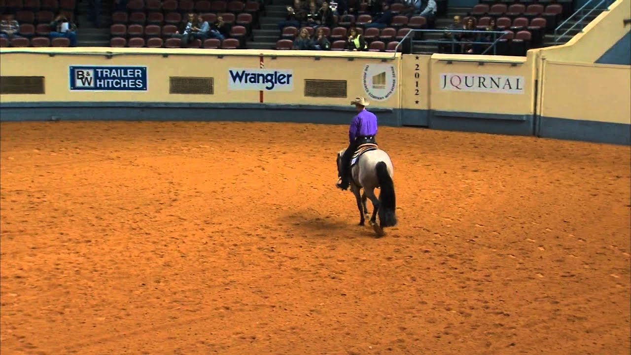 VS FLATLINE - World Champion in Two Year Old Western Pleasure