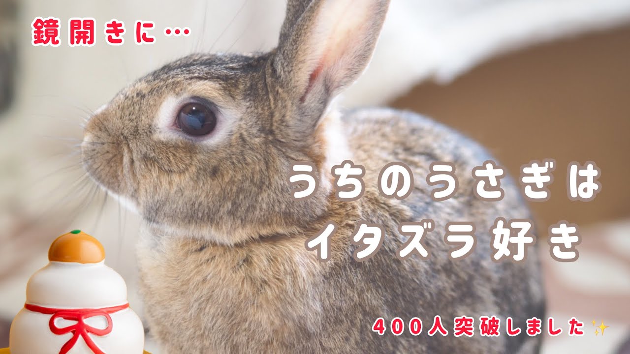 400人突破しました！ありがとうございます。鏡開きの日にミク暴走！？