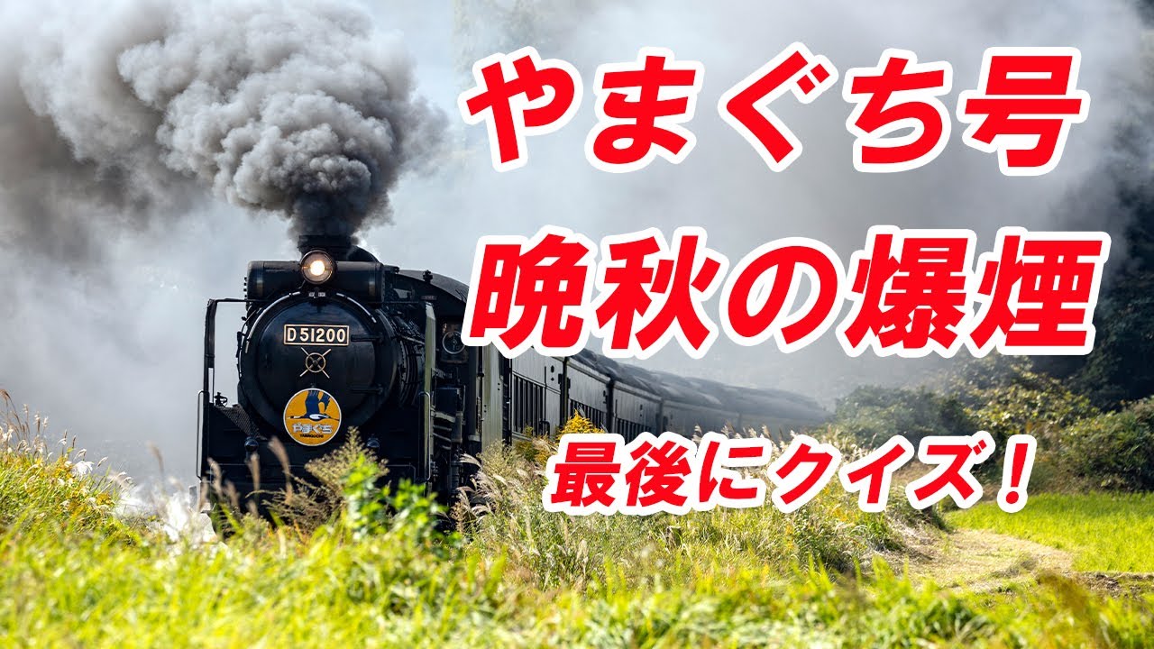 【晩秋の絶景】SLやまぐち号が爆煙連発！ラストにクイズ付き！