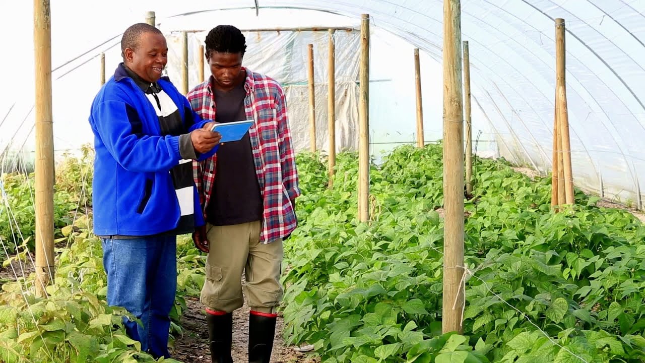 How tech is helping farmers increase productivity and sustainability