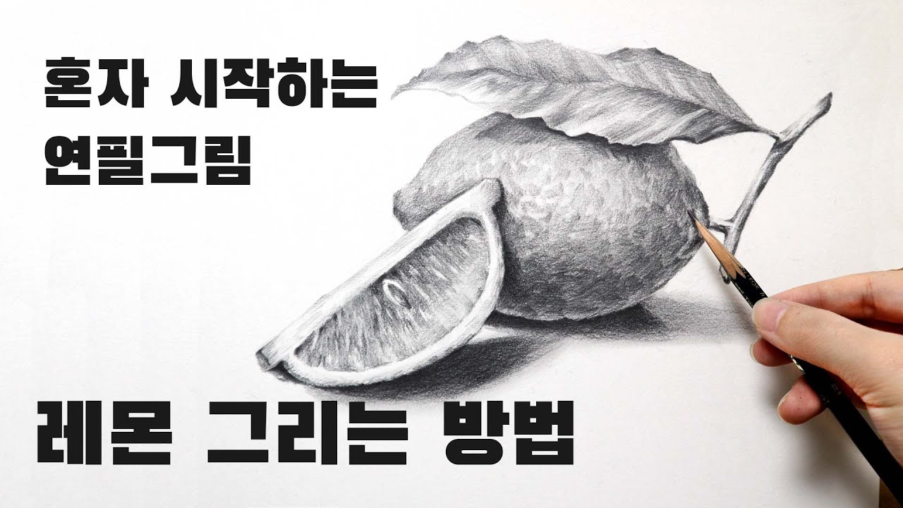 혼자 시작하는 연필소묘 / 레몬그리기, 과일 쉽게 그리는 방법, 기초소묘, 뎃생수업