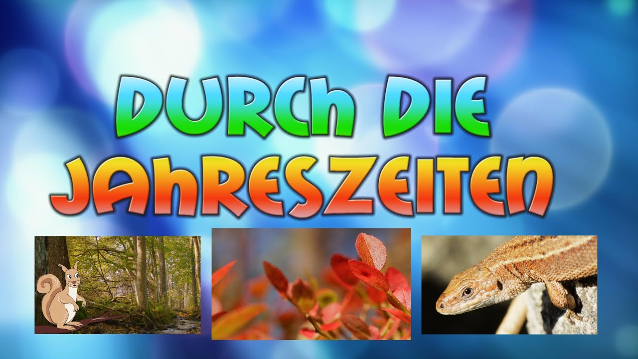 DURCH DIE JAHRESZEITEN: DER HERBST | NATURFILM FÜR KINDER, SCHULE, VORSCHULE