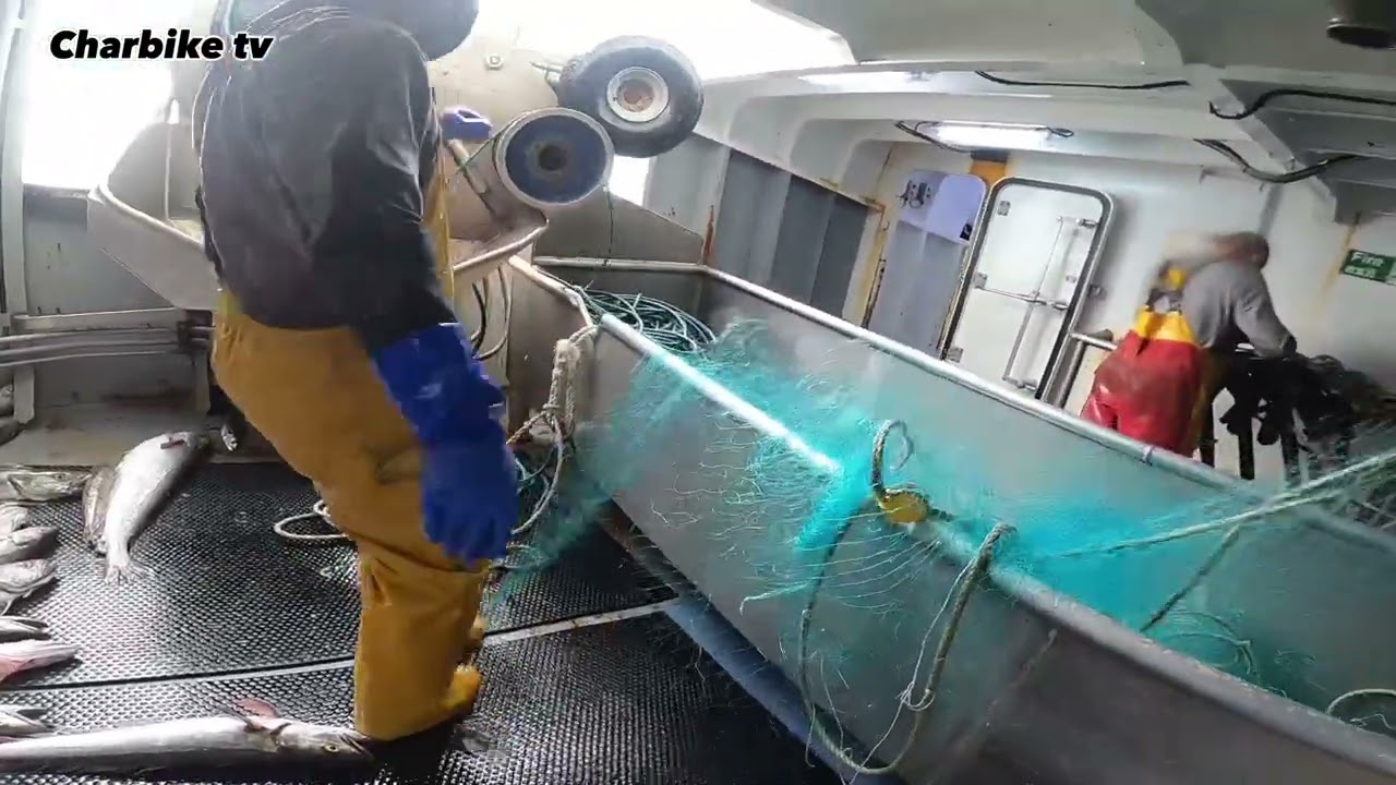 Hauling time