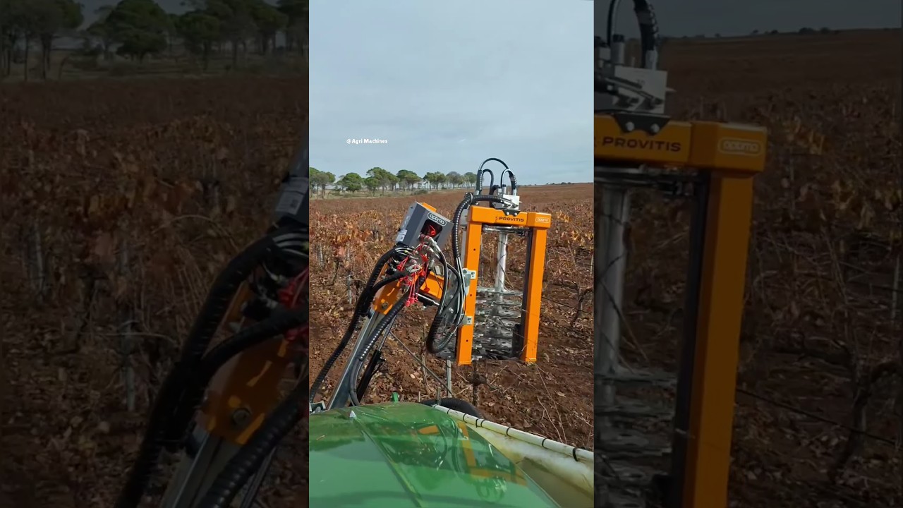 Pre Pruner Optima MP122 || Pruning Season 2024 in France || Made By PROVITIS France || #pruning