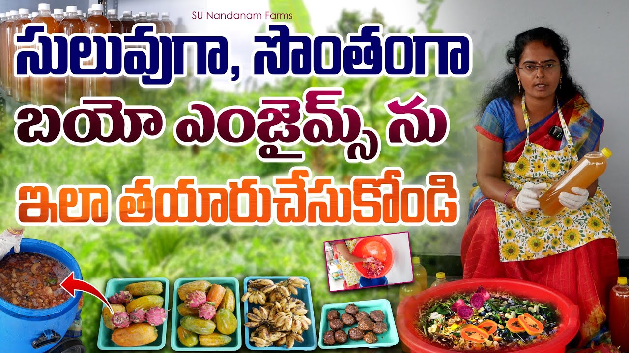 బయోఎంజైమ్స్ ఇలా తయారుచేసుకోండి | Bio Enzymes Preparation #bioenzyme #biofertilizers #organicfarming